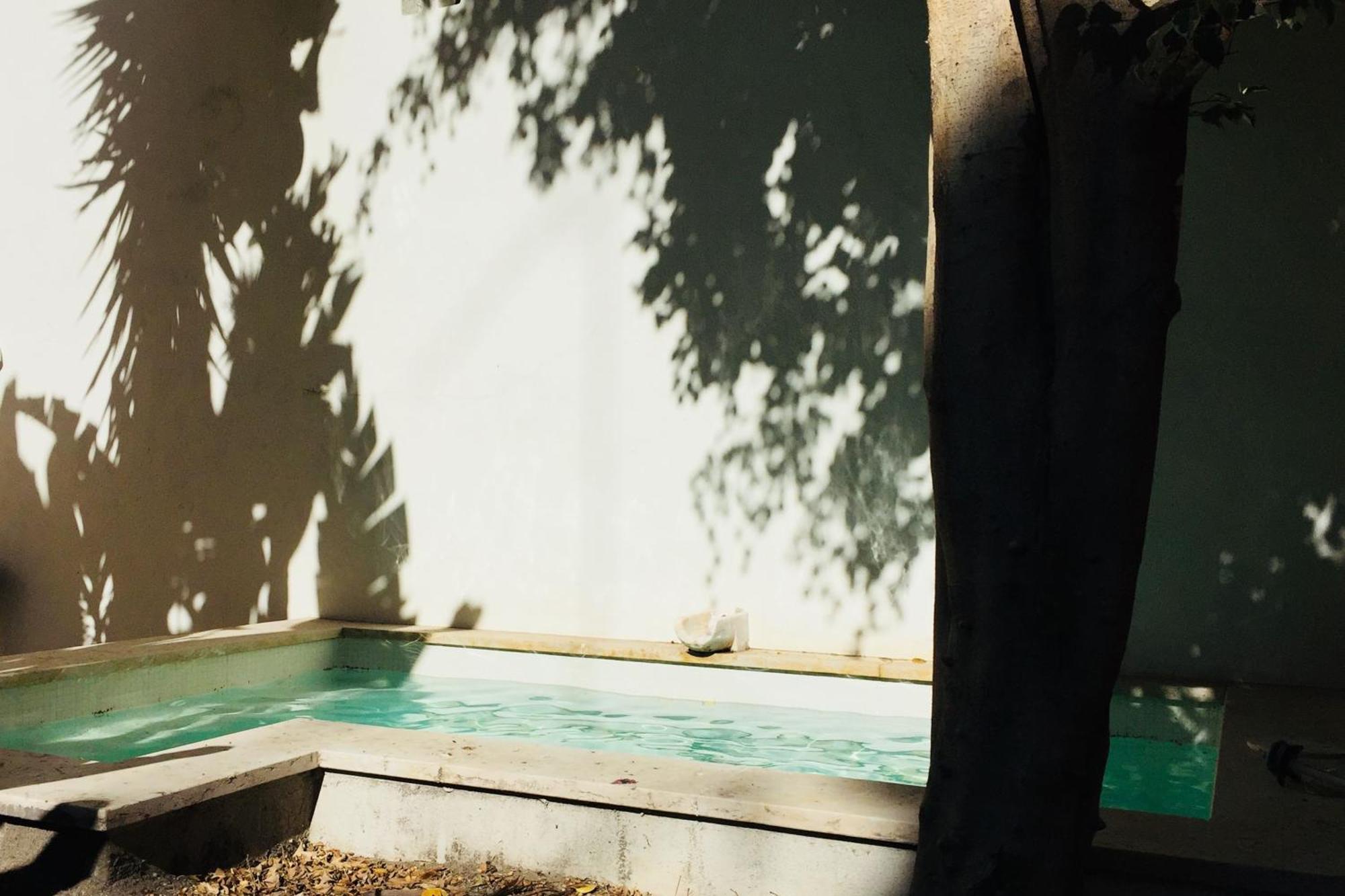 Apartment Pool & Garden In The Heart Of Lisbon